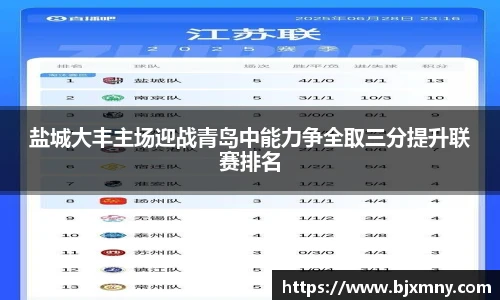 盐城大丰主场迎战青岛中能力争全取三分提升联赛排名